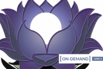 59 - On-Demand Meditation Level 2 Course - Gregor Maehle Available
