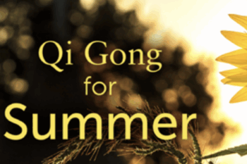 29 - Qi Gong for Summer Workshop - Lee Holden Available