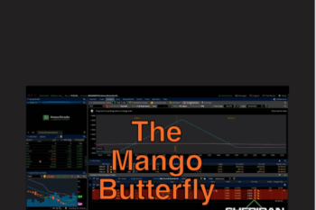 84 - The Mango Butterfly Deep Dive 2023 - Jay Bailey Available