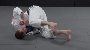 Budo Jake - Going Upside Down - A Beginner's Guide to Inverting for BJJ DVD