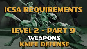 Kevin Secours - ICSA Level 2-Part 9-Knife Defence