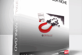 Udemy – Crystallize your Niche