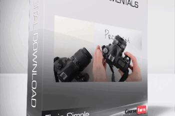 Train Simple – DSLR Fundamentals