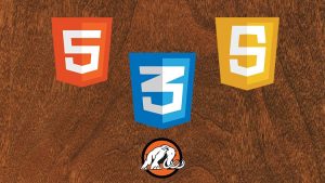 John Bura - Kids Coding - Introduction to HTML, CSS and JavaScript!