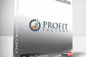 Profit Factory – Basics of Systemization