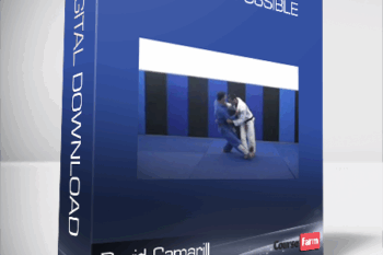 David Camarillo – Position Impossible