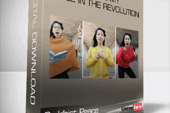 Buddhist Peace Fellowship – What s My Role in the Revolution