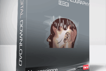 Neuroscience and Psychology – Electroencephalography (EEG)