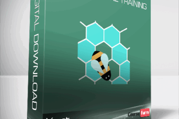 Yoast – Site Structure Training