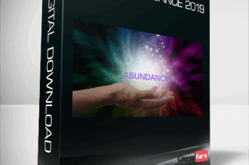 Infinite Abundance 2019