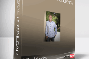 Mike Murphy – The Creation Frequency