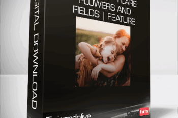 Twigandolive – Maternity – Flare Flowers and Fields | Feature