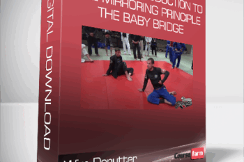 Wim Deputter – General Introduction To The Mirroring Principle & The Baby Bridge
