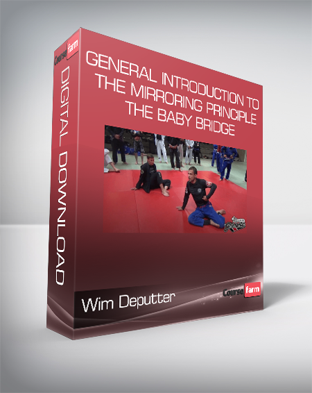 Wim Deputter – General Introduction To The Mirroring Principle & The Baby Bridge
