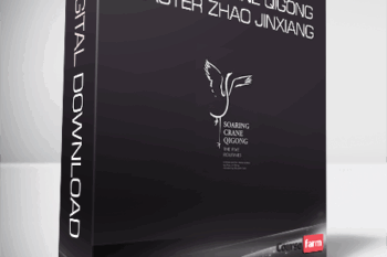 Soaring Crane Qigong – master Zhao Jinxiang