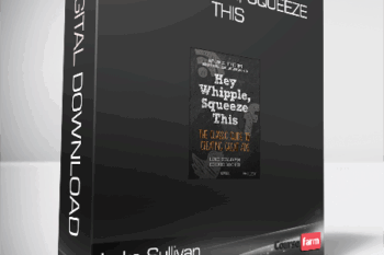 Luke Sullivan, Edward Boches – Hey, Whipple, Squeeze This