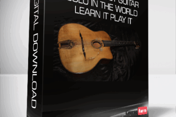 The Greatest Guitar Solo in the World Learn it Play it