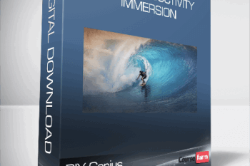 DIY Genius – Flow Productivity Immersion