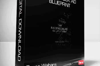 Reece Wabara – The Facebook Ad BluePrint