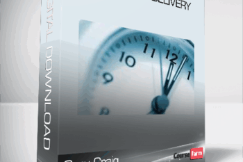 Gary Craig – The Art of Delivery