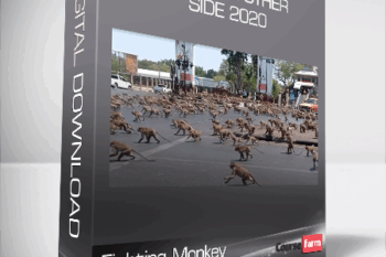 Fighting Monkey – From the Other Side 2020