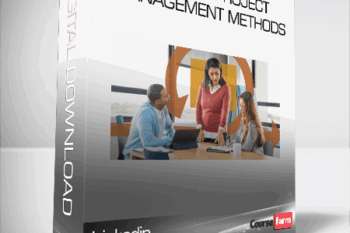 Linkedin – Blending Project Management Methods