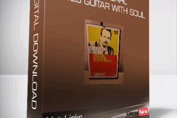 Hot Licks – Ronnie Earl – Blues Guitar with Soul