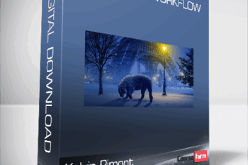 Kelvin Pimont – Photoshop Workflow