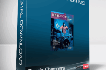Dennis Chambers – In The Pocket (Drums)