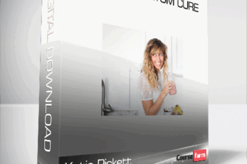 Katie Pickett – The Postpartum Cure