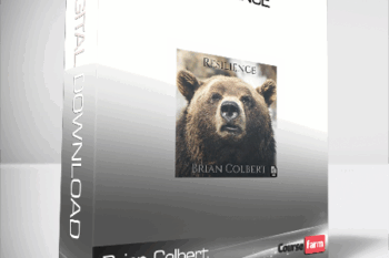 Brian Colbert – Resilience