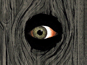 Finding Purpose - Eye of the Spirit - Soul Stories Ep