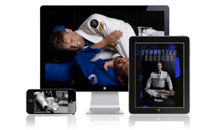 Sebastian Brosche - DLR Passing & Side Control Concepts