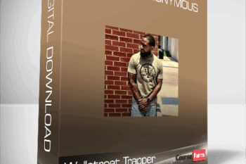 Wallstreet Trapper – Trappers Anonymous