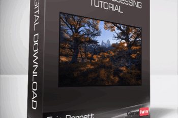 Eric Bennett – Tapestry Processing Tutorial