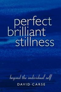 David Carse - Perfect Brilliant Stillness