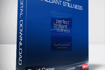 David Carse – Perfect Brilliant Stillness