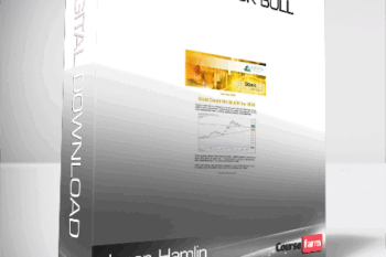 Jason Hamlin – Gold Stock Bull