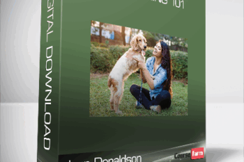 Jean Donaldson – Dog Training 101