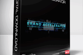 Dimniko – Brand Accelerator