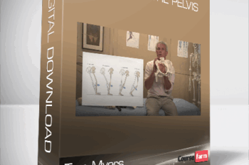 Tom Myers – Balancing the Pelvis