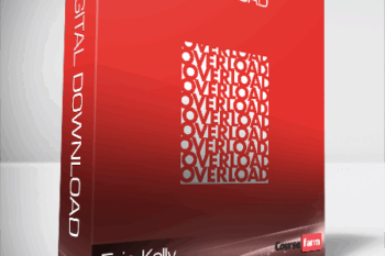 Erin Kelly & Phyllis Moen – Overload