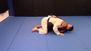 Rafael Formiga - The Butterfly Guard System