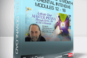 David Crow – Matrix of Magic – 6 – Month Experiential Intensive – Modules 12 – 18