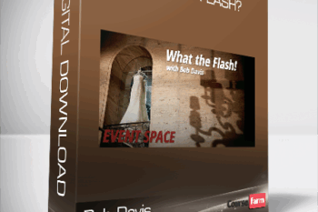 Bob Davis – What the Flash?