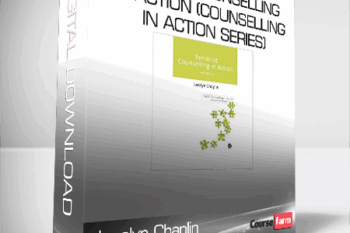 Jocelyn Chaplin – Feminist Counselling in Action (Counselling in Action series)