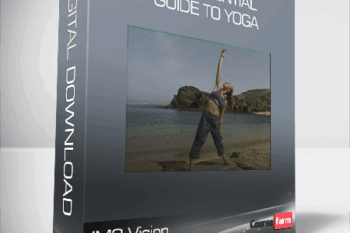 IMC Vision – The Essential Guide To Yoga