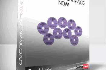 Carol Look – Business Abundance Now