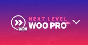 Andrea Marchetti - Next Level WP PRO