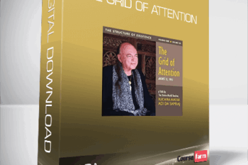 Adi Da – The Grid of Attention